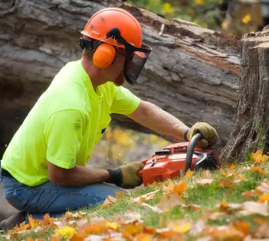 tree services Hopkinsville